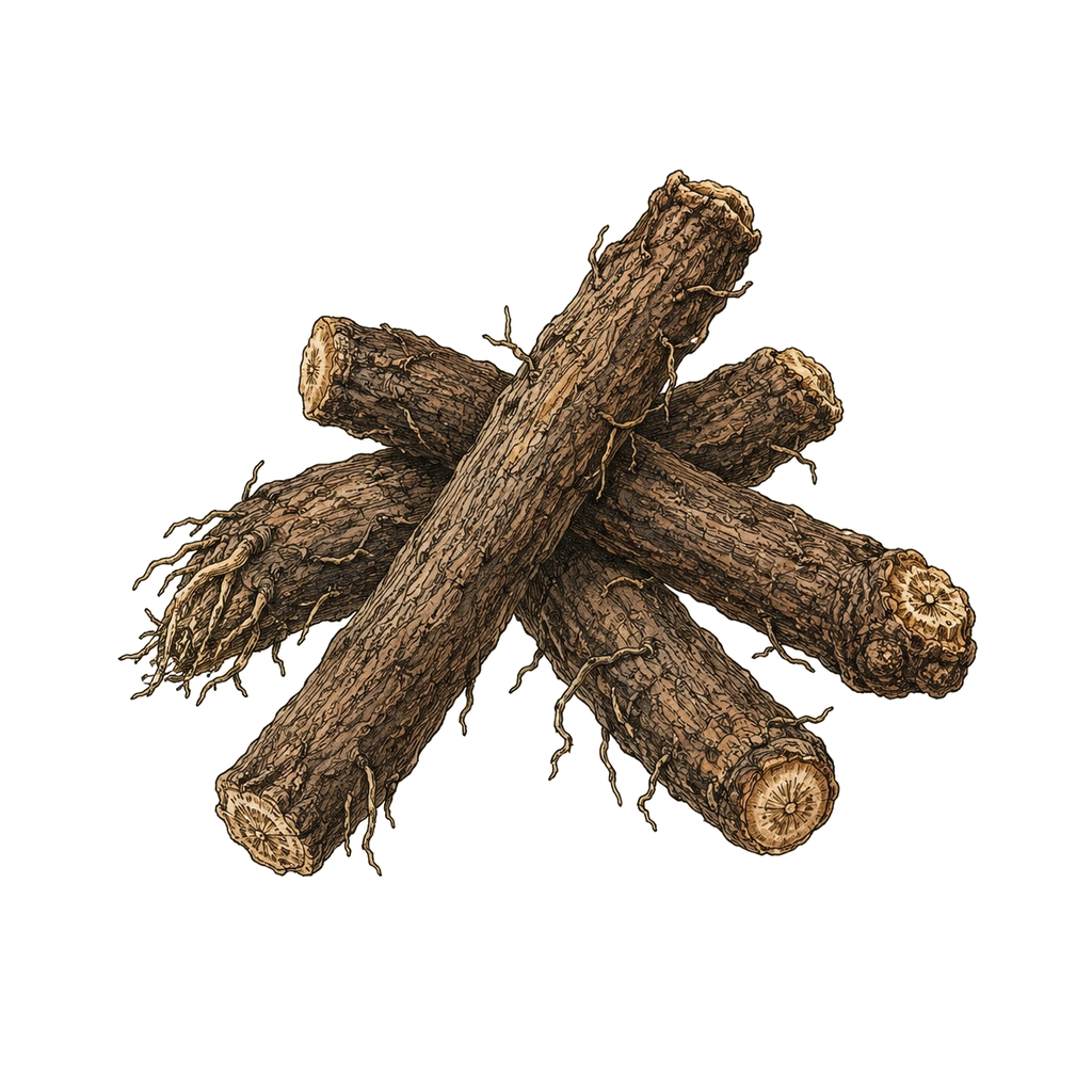 Di Yu / Burnet root herb image